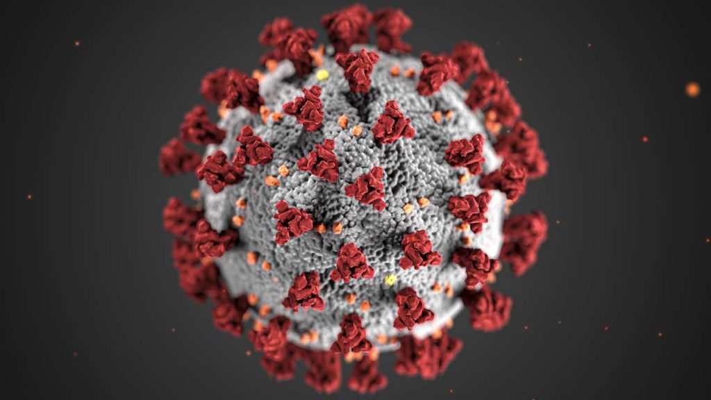 Covid 19 Coronavirus Covid Cell Pandemic Corona Virus 1608796 Pxhere.com  1024x576